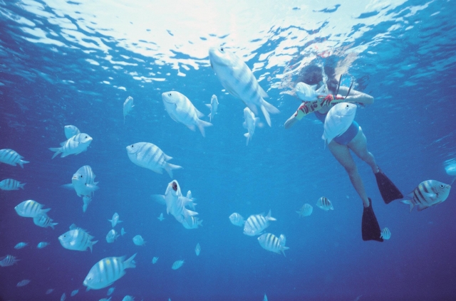  Photographing underwater 